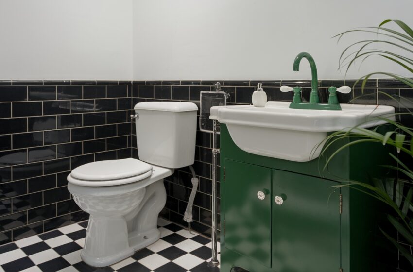 Black, White, and Green Bathroom